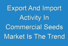 Export And Import Activity In Commercial Seeds Market Is The Trend Among The Global Key Players 2029