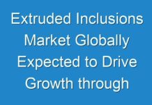 Extruded Inclusions Market Globally Expected to Drive Growth through 2028