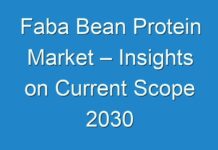 Faba Bean Protein Market – Insights on Current Scope 2030