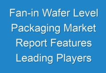 Fan-in Wafer Level Packaging Market Report Features Leading Players and Forecast the Future for the Period By 2024
