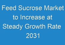 Feed Sucrose Market to Increase at Steady Growth Rate 2031
