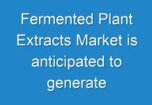Fermented Plant Extracts Market is anticipated to generate significant revenues by 2030