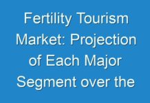 Fertility Tourism Market: Projection of Each Major Segment over the Forecast Period 2028