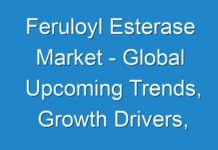 Feruloyl Esterase Market – Global Upcoming Trends, Growth Drivers, Opportunities and Challenges 2030