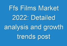 Ffs Films Market 2024: Detailed analysis and growth trends post COVID-19 outbreak