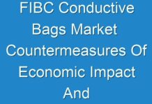 FIBC Conductive Bags Market Countermeasures Of Economic Impact And Marketing Channels To 2017 – 2025
