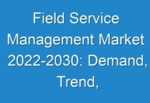 Field Service Management Market 2024-2030: Demand, Trend, Innovations, Applications and Growth