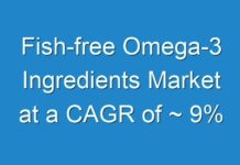 Fish-free Omega-3 Ingredients Market at a CAGR of ~ 9%