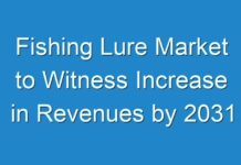 Fishing Lure Market to Witness Increase in Revenues by 2031