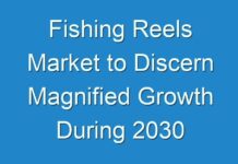 Fishing Reels Market to Discern Magnified Growth During 2030