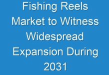 Fishing Reels Market to Witness Widespread Expansion During 2031