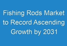 Fishing Rods Market to Record Ascending Growth by 2031