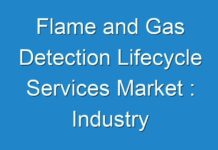 Flame and Gas Detection Lifecycle Services Market : Industry Development Scenario and Forecast to 2030