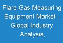 Flare Gas Measuring Equipment Market – Global Industry Analysis, Size, Share, Trends, Growth and Forecast 2016 – 2024