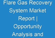 Flare Gas Recovery System Market Report | Opportunity Analysis and Industry Forecast 2025