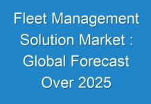 Fleet Management Solution Market : Global Forecast Over 2025