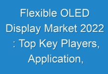 Flexible OLED Display Market 2024 : Top Key Players, Application, Growth Analysis And Forecasts To 2030