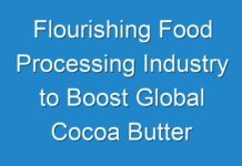 Flourishing Food Processing Industry to Boost Global Cocoa Butter Market Through 2028