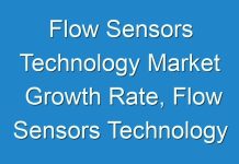 Flow Sensors Technology Market Growth Rate, Flow Sensors Technology Market Top Players, Flow Sensors Technology Market Demand