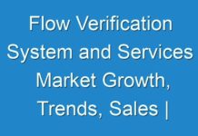 Flow Verification System and Services Market Growth, Trends, Sales | Industry Report, Forecast 2025; COVID-19 to Affect Future Growth Trajectory