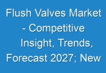 Flush Valves Market – Competitive Insight, Trends, Forecast 2027; New TMR Report Explores Impact of COVID-19 Outbreak on Market