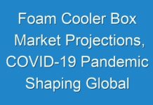 Foam Cooler Box Market Projections, COVID-19 Pandemic Shaping Global Demand by 2027
