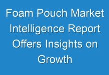 Foam Pouch Market Intelligence Report Offers Insights on Growth Prospects 2024–2030