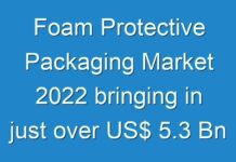 Foam Protective Packaging Market 2024 bringing in just over US$ 5.3 Bn