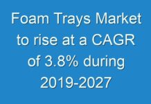Foam Trays Market to rise at a CAGR of 3.8% during 2019-2027