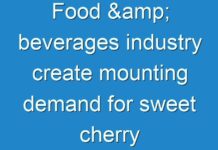Food & beverages industry create mounting demand for sweet cherry powder market for numerous applications including bakery, jams