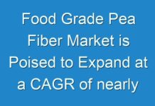 Food Grade Pea Fiber Market is Poised to Expand at a CAGR of nearly 8% between 2024 and 2030