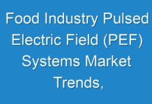 Food Industry Pulsed Electric Field (PEF) Systems Market Trends, challenges, competition, and regional analysis