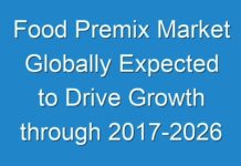 Food Premix Market Globally Expected to Drive Growth through 2017-2026