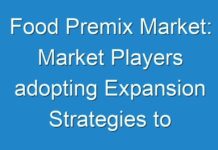 Food Premix Market: Market Players adopting Expansion Strategies to Increase their Market Footprint Forecast 2017 to 2026