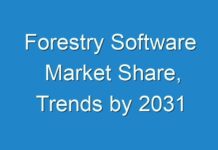 Forestry Software Market Share, Trends by 2031