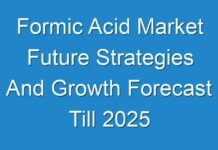 Formic Acid Market Future Strategies And Growth Forecast Till 2025