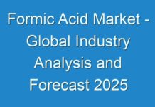 Formic Acid Market – Global Industry Analysis and Forecast 2025