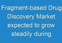 Fragment-based Drug Discovery Market expected to grow steadily during the forecast period of 2015 to 2024