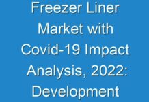 Freezer Liner Market with Covid-19 Impact Analysis, 2024: Development Assessment and Industry Expansion Strategies 2027 – TMR