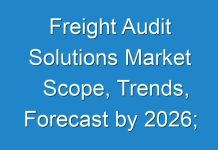 Freight Audit Solutions Market Scope, Trends, Forecast by 2026; Impact of COVID-19 on the Global Market