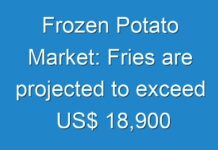 Frozen Potato Market: Fries are projected to exceed US$ 18,900 million revenue by the end of 2024