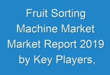 Fruit Sorting Machine Market Market Report 2019 by Key Players, Types, Applications, Countries, Market Size, Forecast to 2027