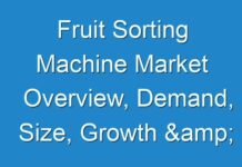 Fruit Sorting Machine Market Overview, Demand, Size, Growth & Forecast 2027 – Worldwide Analysis