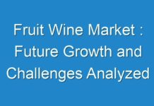 Fruit Wine Market : Future Growth and Challenges Analyzed