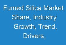 Fumed Silica Market Share, Industry Growth, Trend, Drivers, Challenges, Key Companies Region, Forecast To 2027