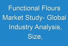 Functional Flours Market Study- Global Industry Analysis, Size, Share, Growth, Trends and Forecast 2017 – 2025