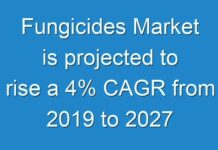 Fungicides Market is projected to rise a 4% CAGR from 2019 to 2027