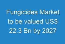 Fungicides Market to be valued US$ 22.3 Bn by 2027