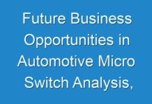 Future Business Opportunities in Automotive Micro Switch Analysis, Trend & Forecast Report 2017 – 2025