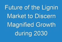 Future of the Lignin Market to Discern Magnified Growth during 2030